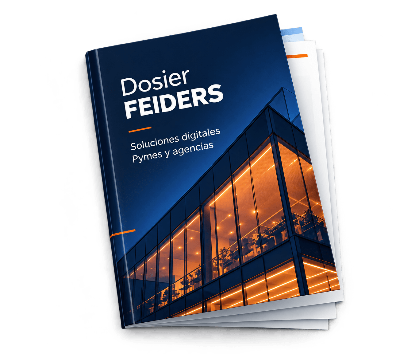Portada del dosier informativo de FEIDERS
